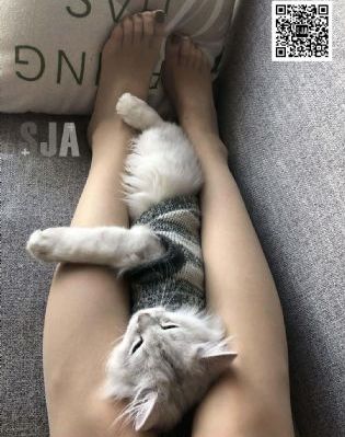 中文乱理伦片在线观看_HD在线手机播放